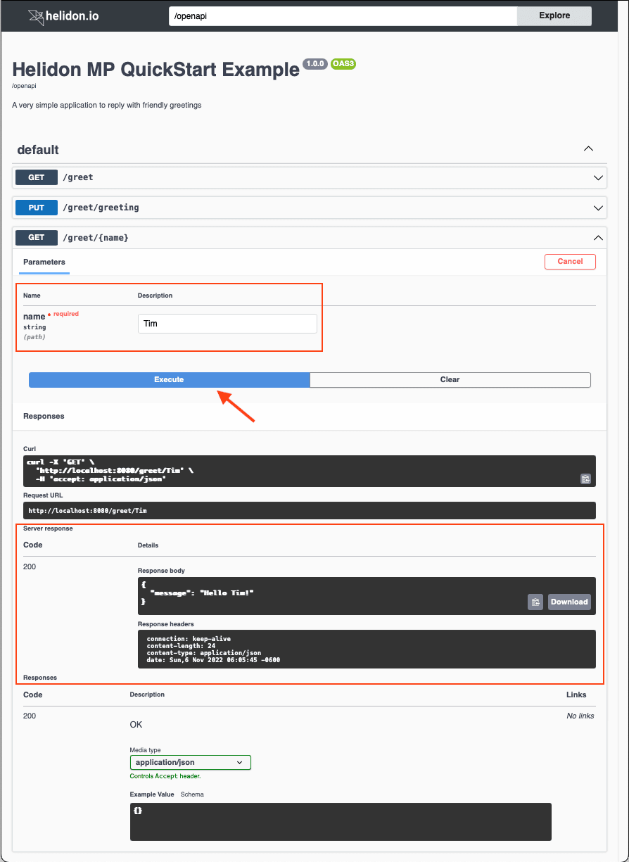 openapi ui screen capture greeting mp expanded